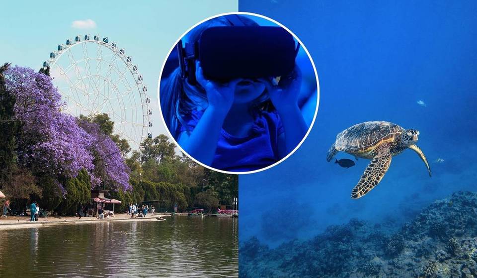Chapultepec will offer a free ocean experience this Holy Week: you’ll see a 24-meter whale through virtual reality!
