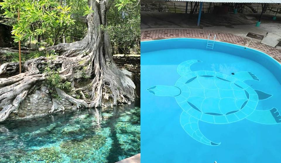 El balneario con un borbollón de agua natural y una alberca en forma de tortuga que puedes conocer por solo $100 esta Semana Santa