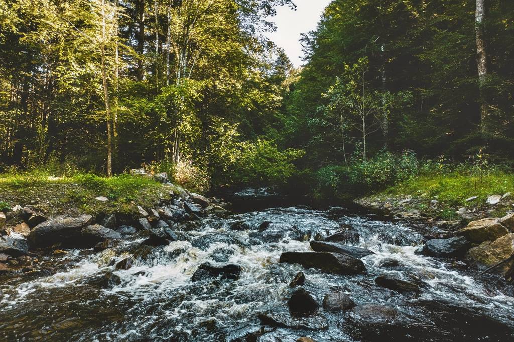 Río Chapultepec cuarta sección