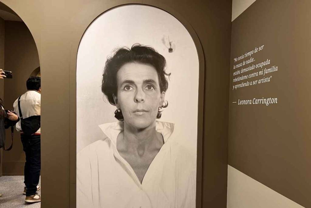 Leonora Carrington’s Labyrinth, Mexico City
