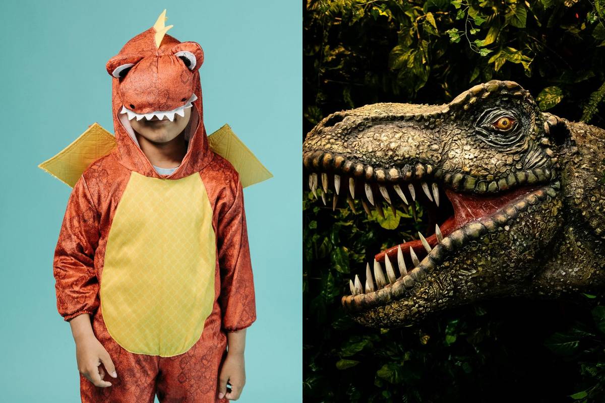 Pijamada de Dinosaurios