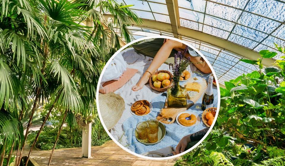 Día de la Tierra en Chapultepec: picnic gratis con trueque de ropa en el Jardín Botánico