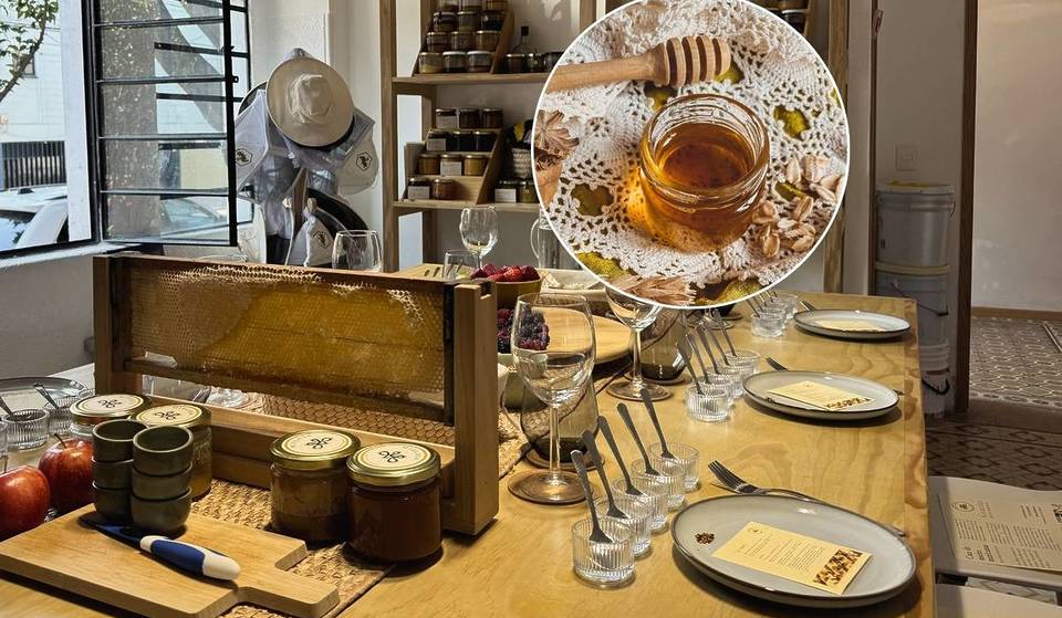 The honey tasting that includes brunch with cheeses, bread, and mead in Mexico City: perfect for discovering multifloral honeys, among others