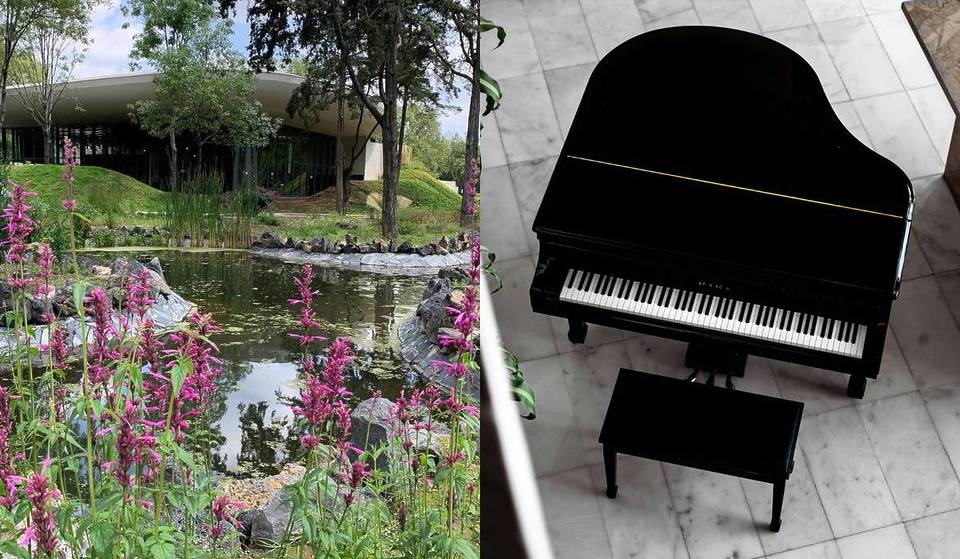 Habrá dos conciertos de jazz gratuitos en este jardín del Bosque de Chapultepec: uno de ellos es en la noche
