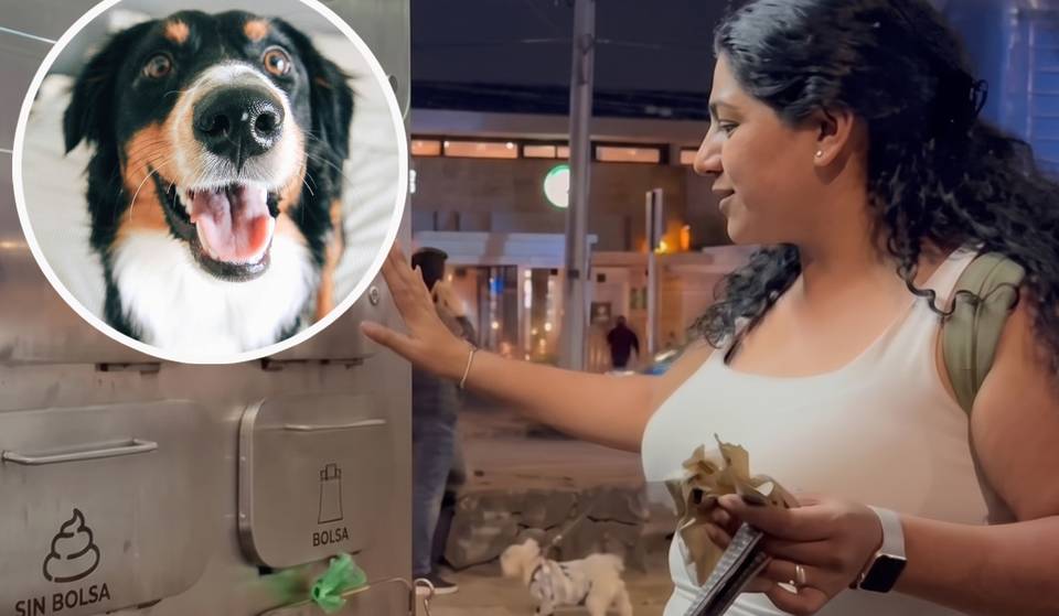 ¿Popó de perro convertida en composta? La iniciativa ecológica que ya llegó a 14 parques de CDMX