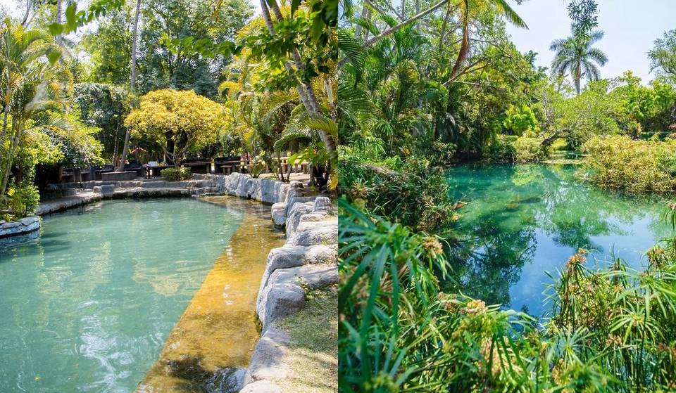 Cheaper than Las Estacas: the crystal-clear spring resort to cool off during the May long weekend