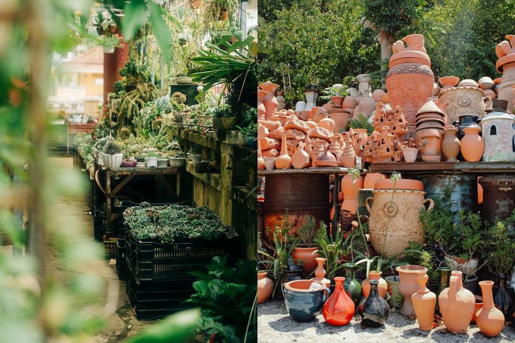 plant festival plant fest May 2026 Mexico City
