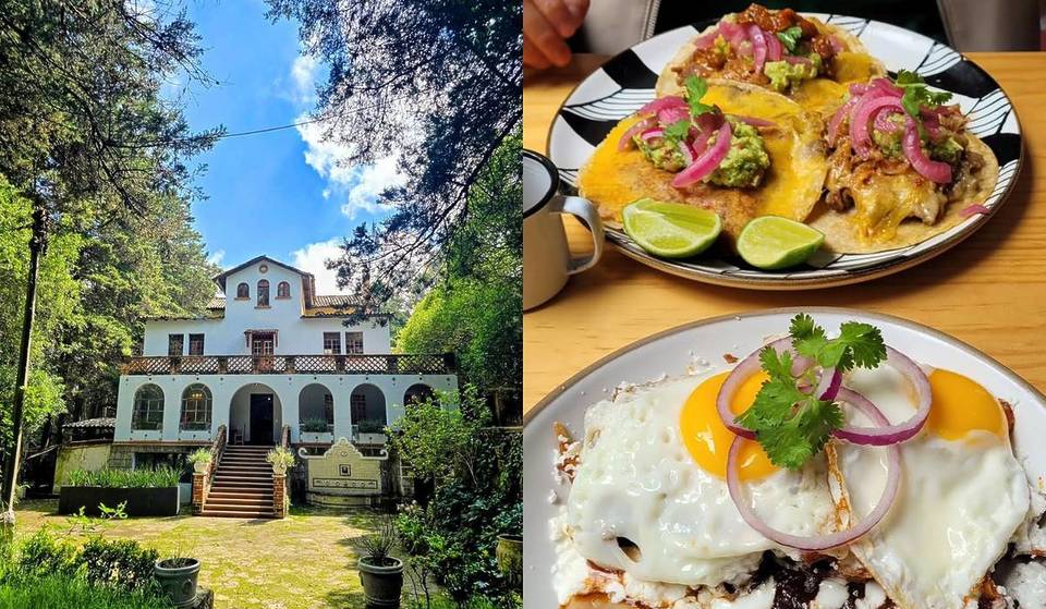 A century-old French-style mansion surrounded by trees: discover this Mexican restaurant in Mexico City that’s neither in Lomas nor in Polanco