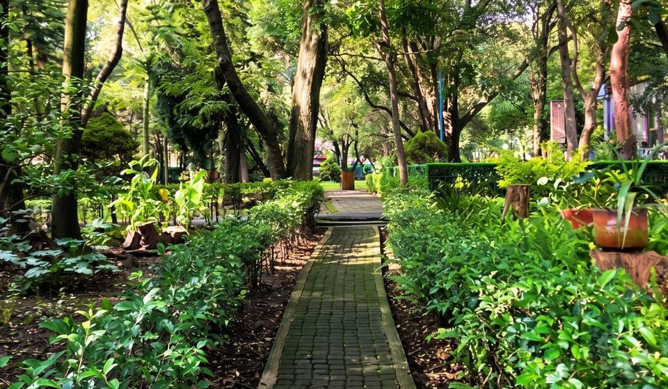 Casi nadie conoce este oasis de 21,000 metros cuadrados oculto al sur de la CDMX: pasó de ser una fábrica de papel a un refugio arbolado