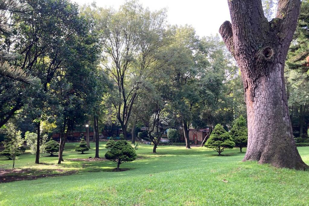 Peña Pobre Park, Tlalpan