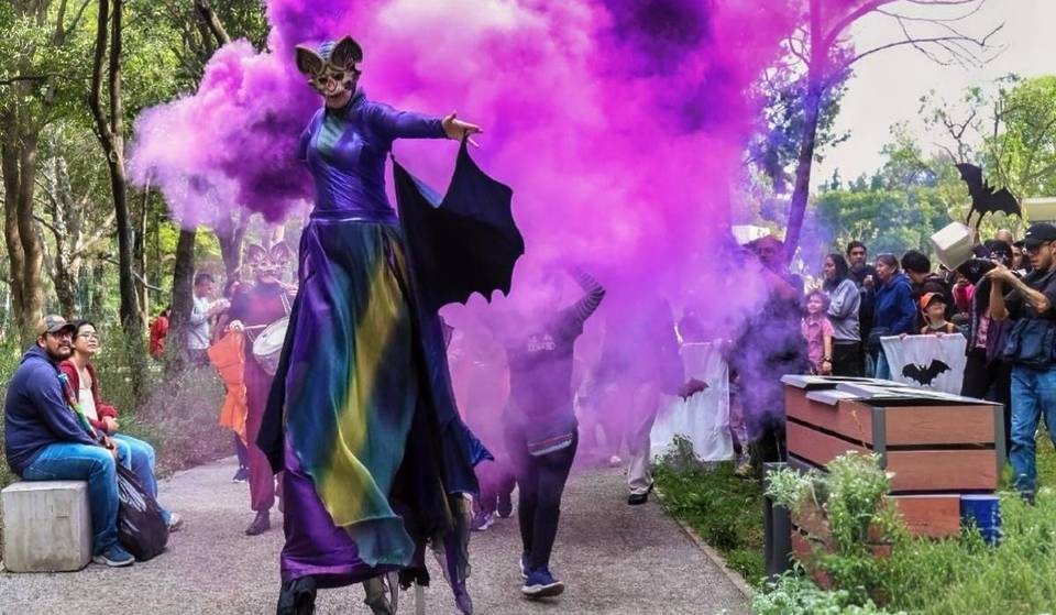 Habrá un circo de murciélagos GRATIS en Chapultepec y promete acrobacias, naturaleza y rallys