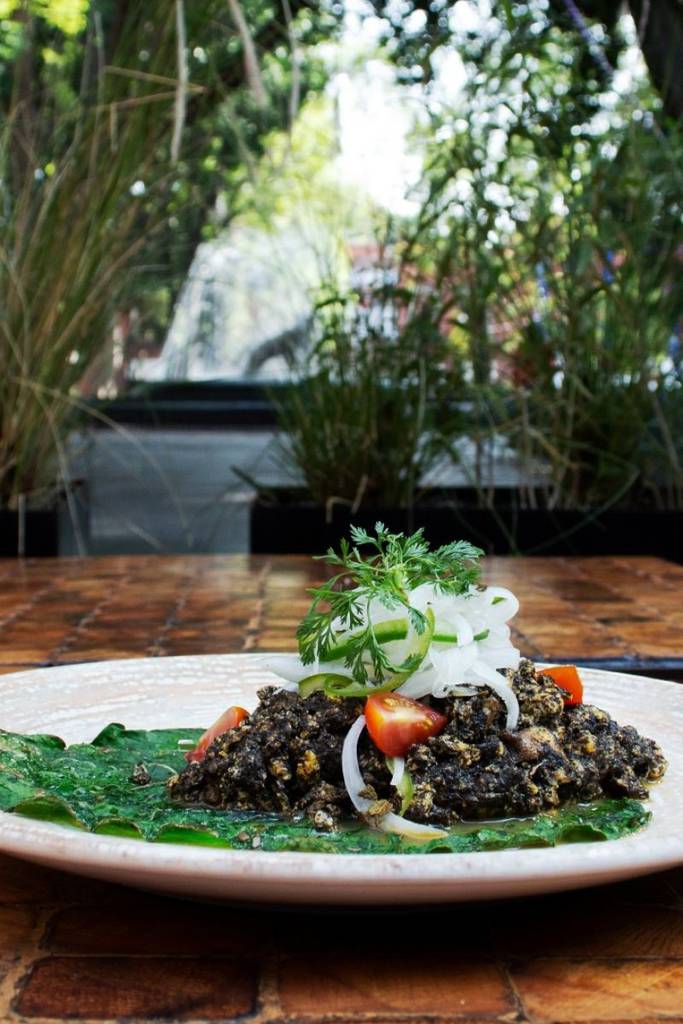 restaurante los danzantes coyoacán cdmx