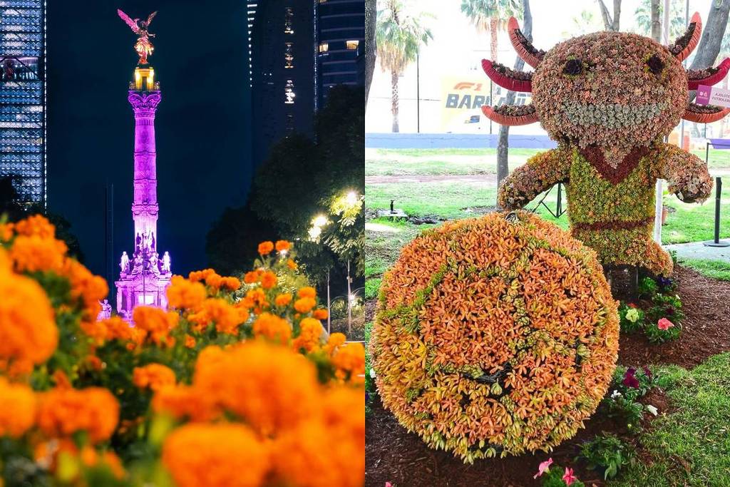 cempasúchil mundial en cdmx