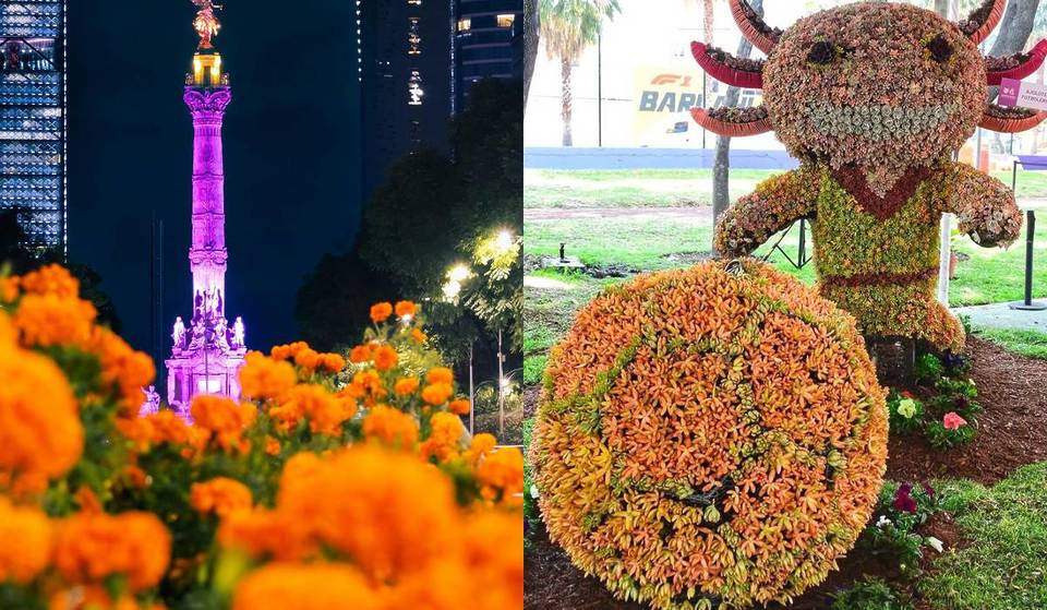 Half a million marigold flowers and 250 soccer-themed topiaries will be installed on the main avenues of Mexico City for the World Cup