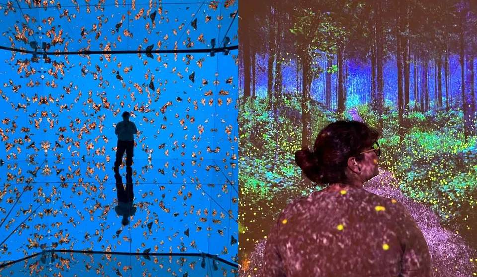 It’s not Tulum or the Chiapas jungle: the immersive experience right on Paseo de la Reforma with Mayan ruins and a 360-degree dome to disconnect from the city