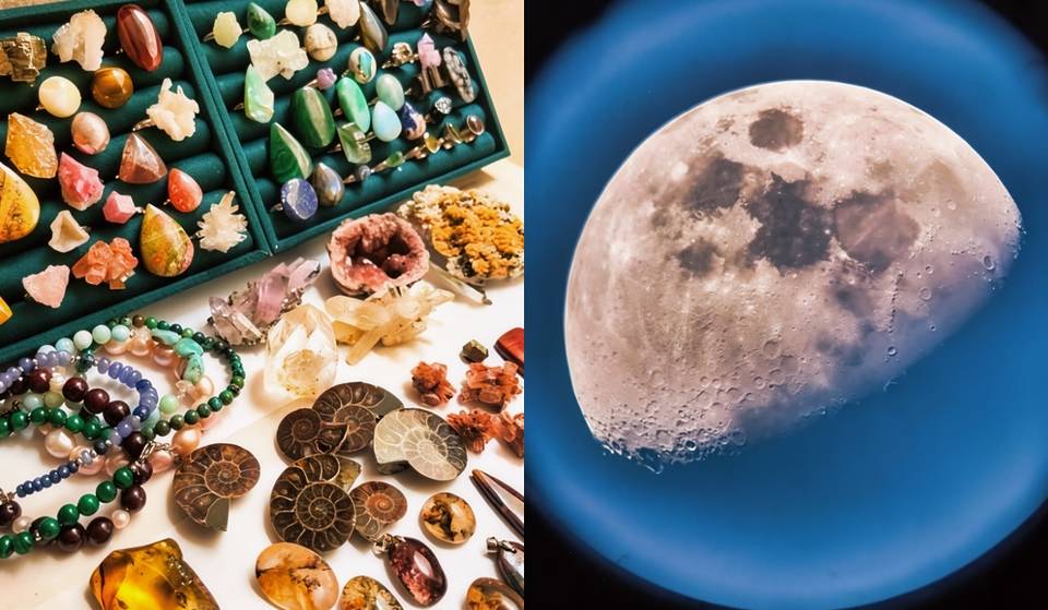 Planetarium, telescopes, and free admission: The fascinating science bazaar coming to Coyoacán in June