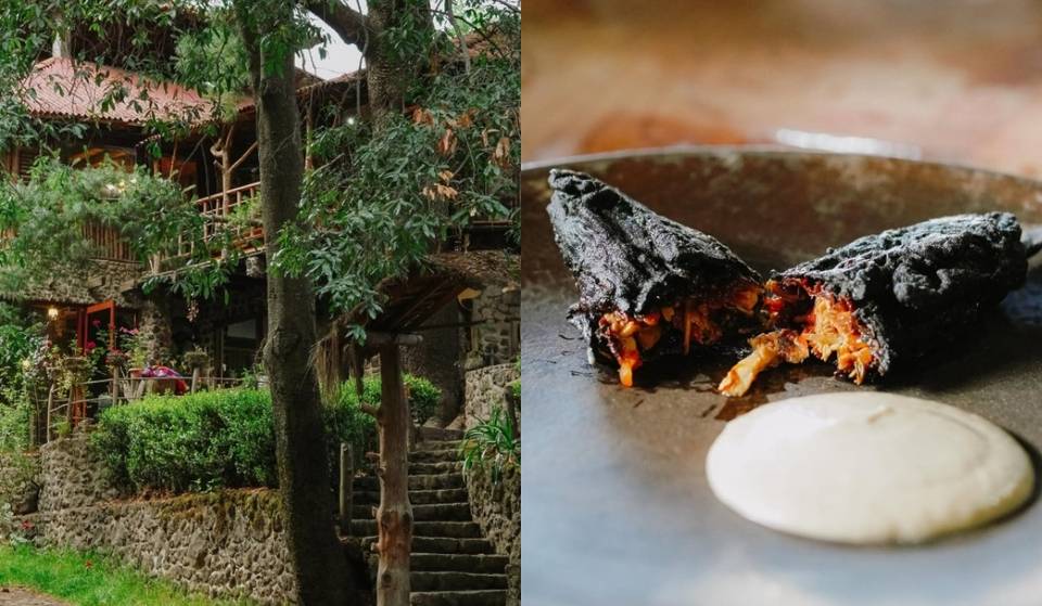 Quelites Season: A culinary journey among volcanoes where you’ll learn to cultivate a cornfield in Puebla