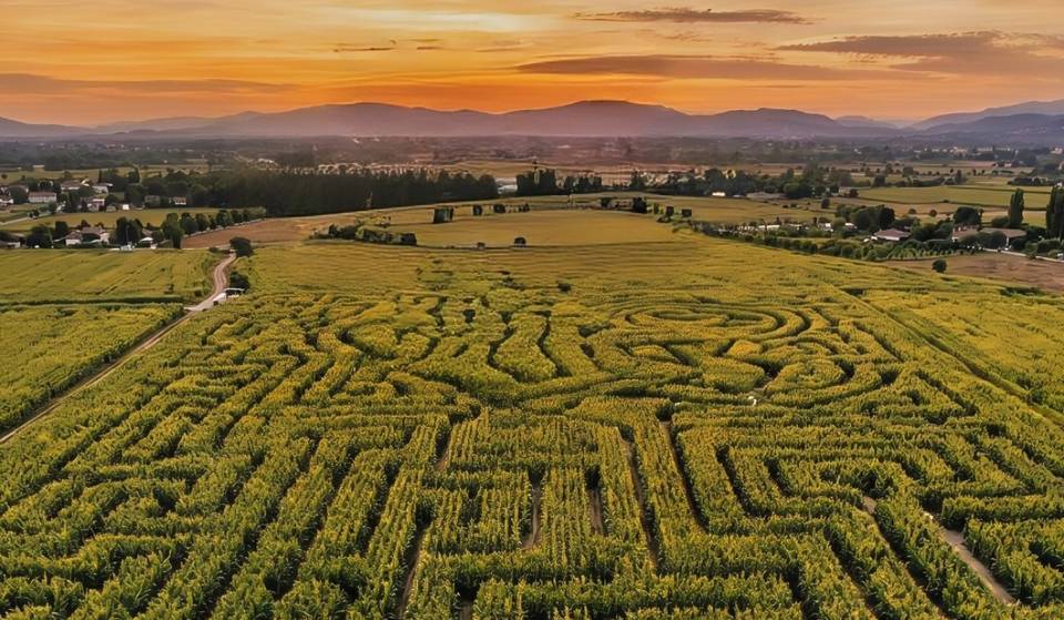 A giant corn maze in Mexico? Discover the new interactive park coming to Querétaro