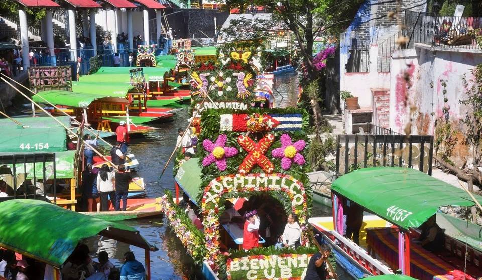 What’s new in Xochimilco? Here’s how the renovated piers and the axolotl rescue project are progressing