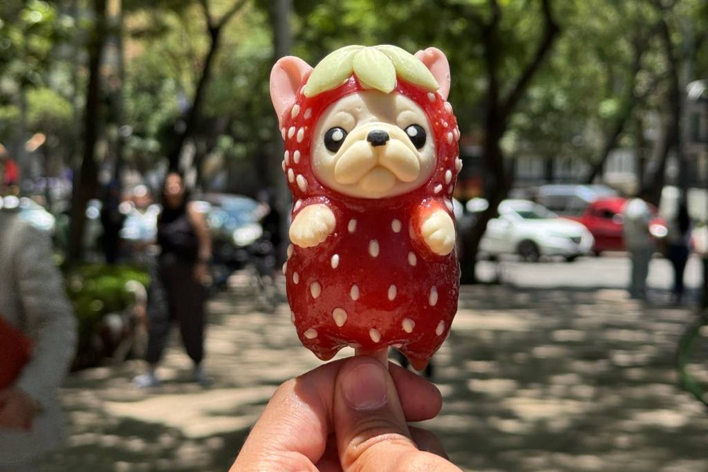 Llegan a CDMX las paletas del perrito viral Pibble: solo las venden los fines de semana