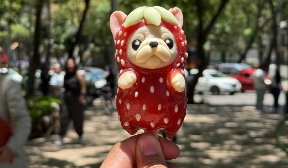 Popsicles featuring the viral dog Pibble are coming to Mexico City: they’re only sold on weekends