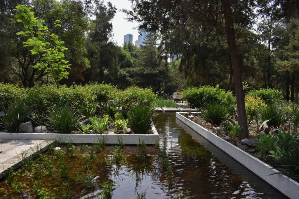 Espejo de Agua Bosque de Chapultepec