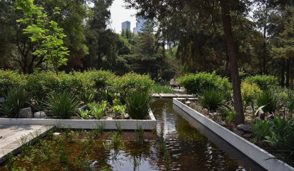 Espejo de Agua, the new spot in Chapultepec Forest with wetlands and green landscapes where you can relax in the shade