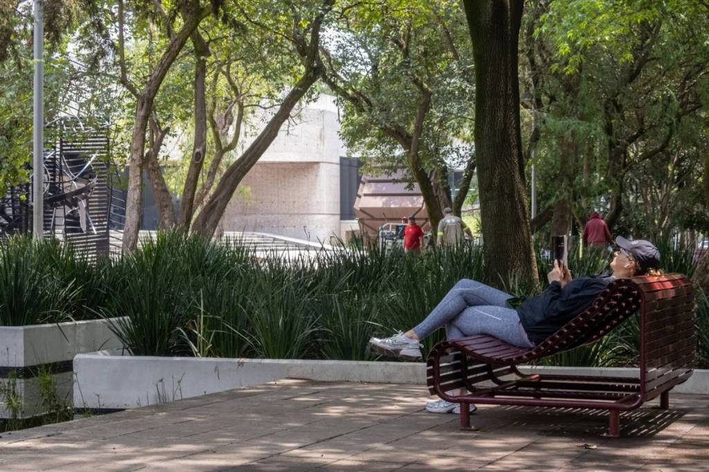 Espejo de Agua en el Bosque de Chapultepec