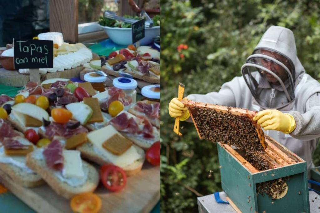 Countryside Tours in Xochimilco and Tláhuac