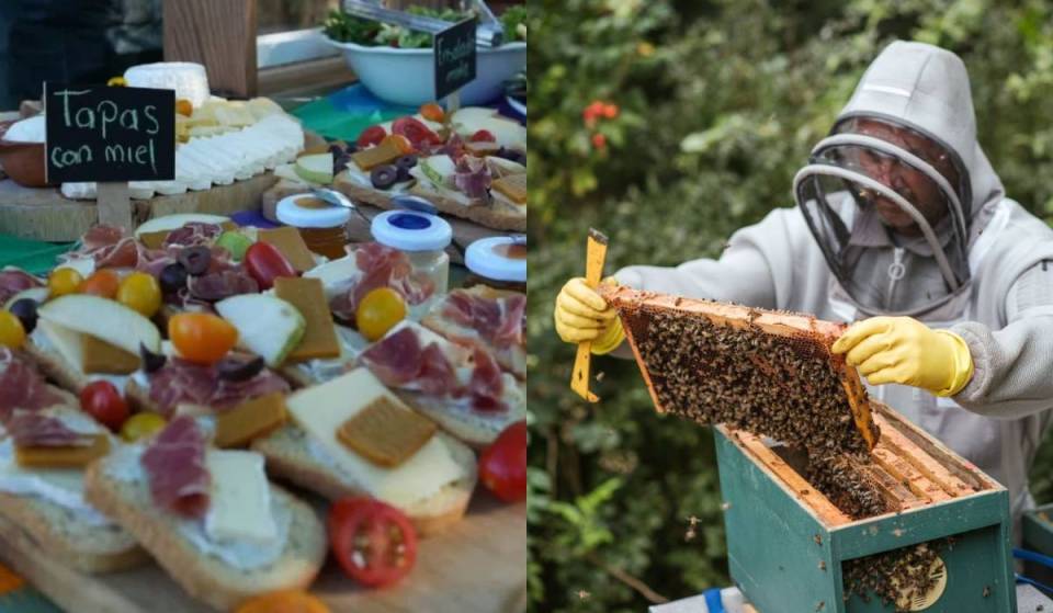 It’s Not a “Pueblo Mágico”: Excursions in Mexico City featuring chinampa tours and visits to the apiary, including tastings and transportation from Coyoacán