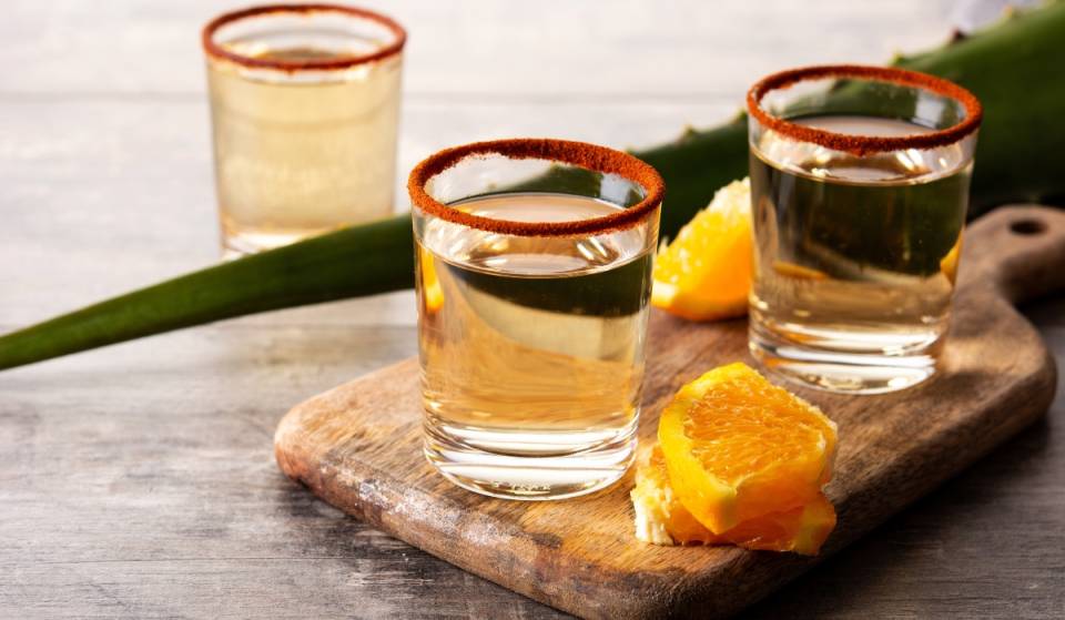 Mezcal, pulque y platillos imperdibles en el Festival Entre Brasas y Maguey este fin de semana