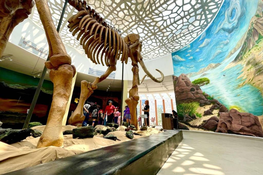 Museo de Vestigios Arqueológicos