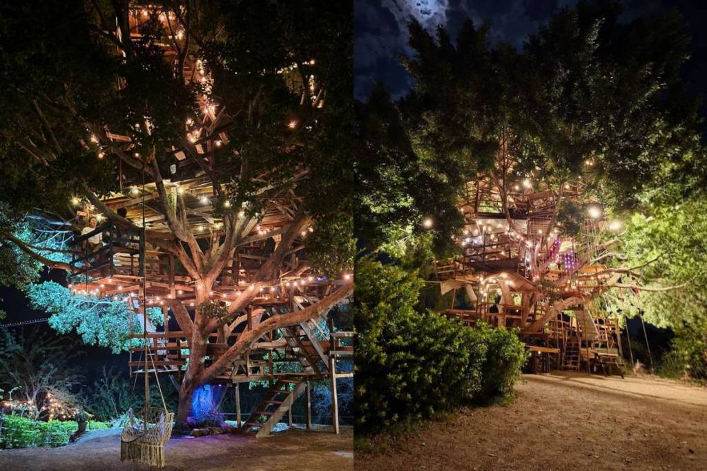 La Casa del Árbol Restaurant, Morelos