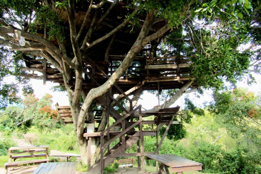 the treehouse in Yecapixtla, Morelos