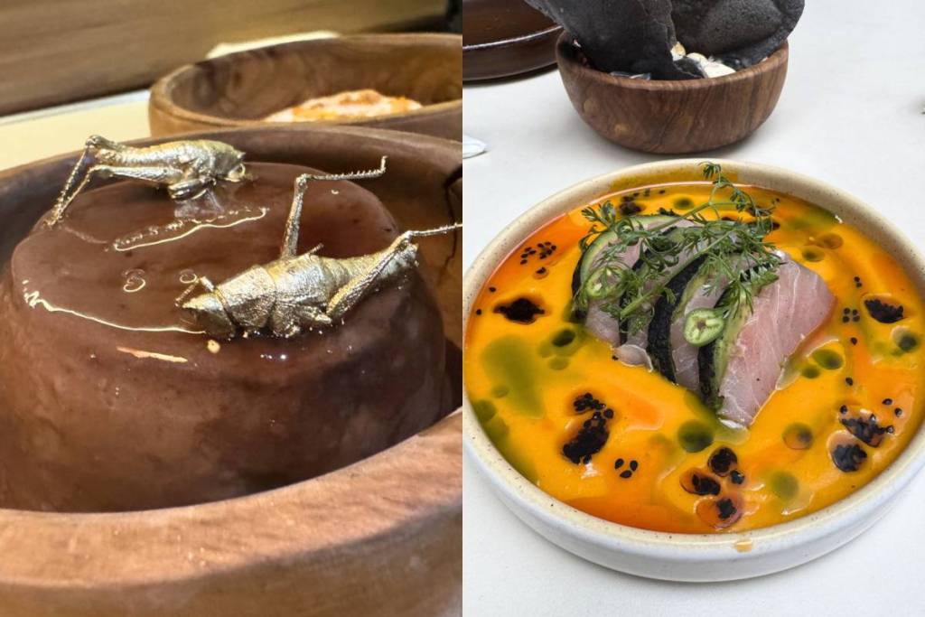 restaurante peruano axolao cdmx