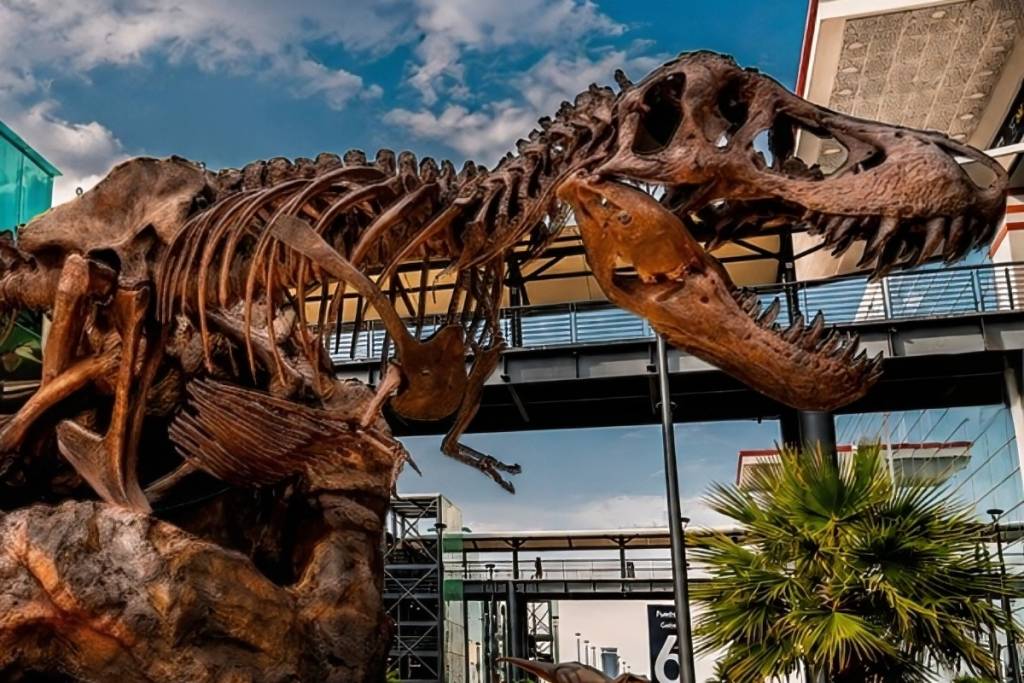 Exposición de dinosaurios en el AIFA