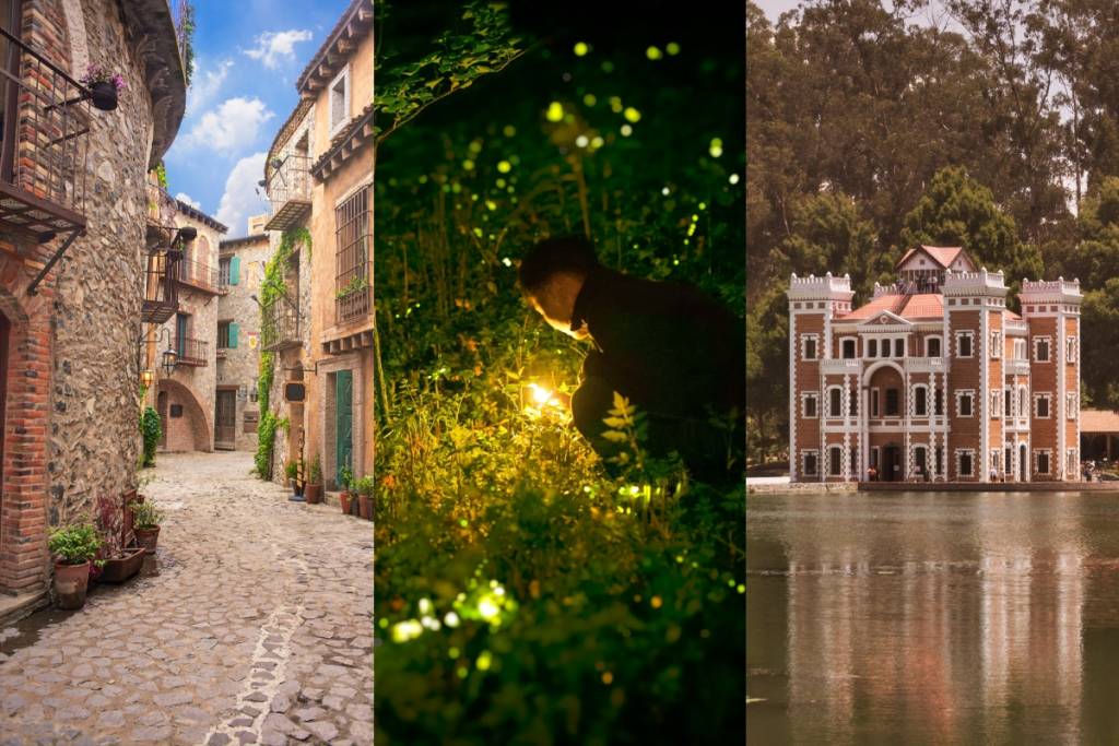 Firefly Tour from Mexico City