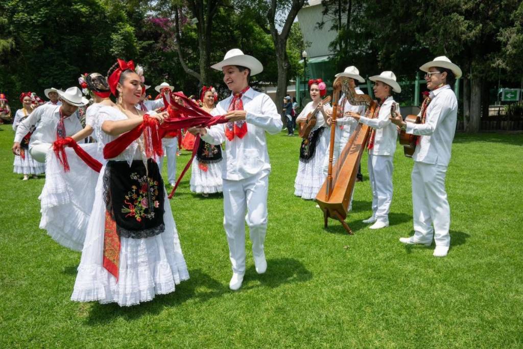 veracruz en los pinos