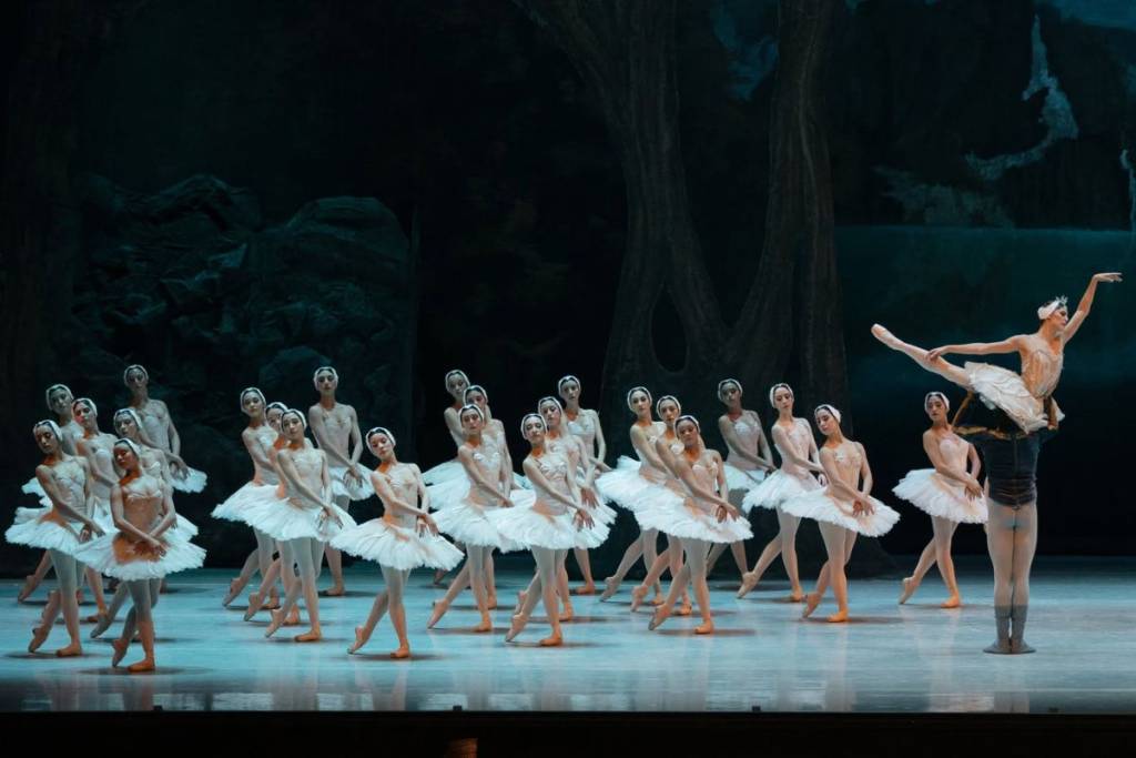 Swan Lake 2026 National Auditorium