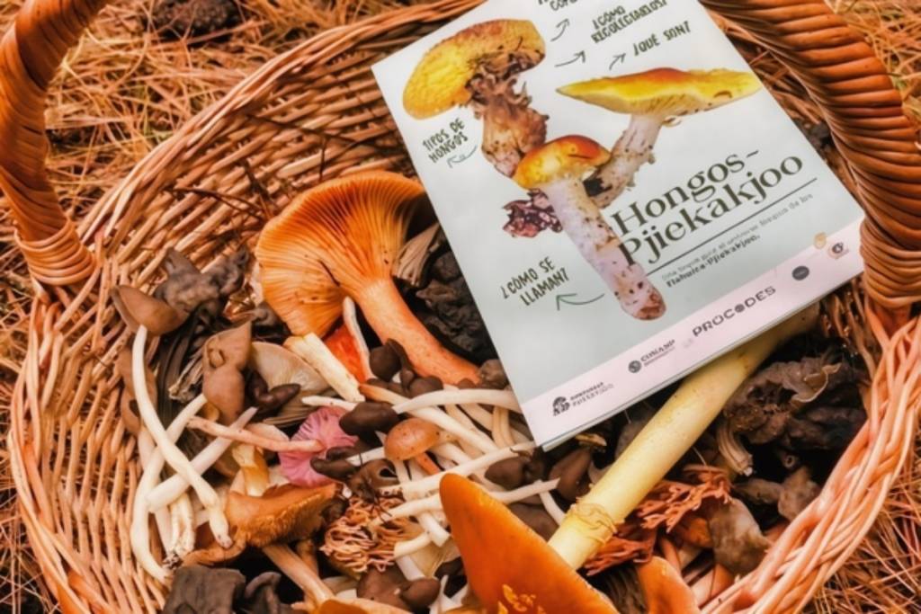 Mycological Tour with the Pjiekakjoo Mushroom Gatherers