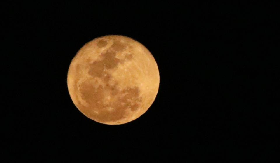 ¿Cuándo se verá la Luna de ciervo? Este día podrás verla en todo su esplendor