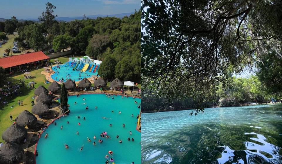 The forest with a water park for $40, boat rides, and is perfect for fishing and eating trout