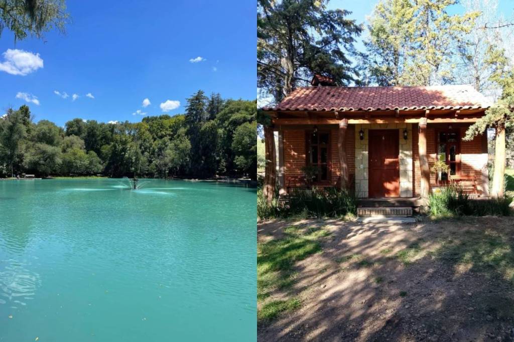 bosque de las truchas en hidalgo