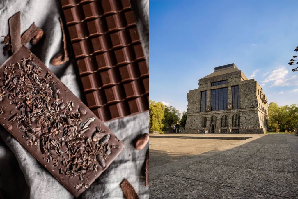 Festival Cacao Para Todos
