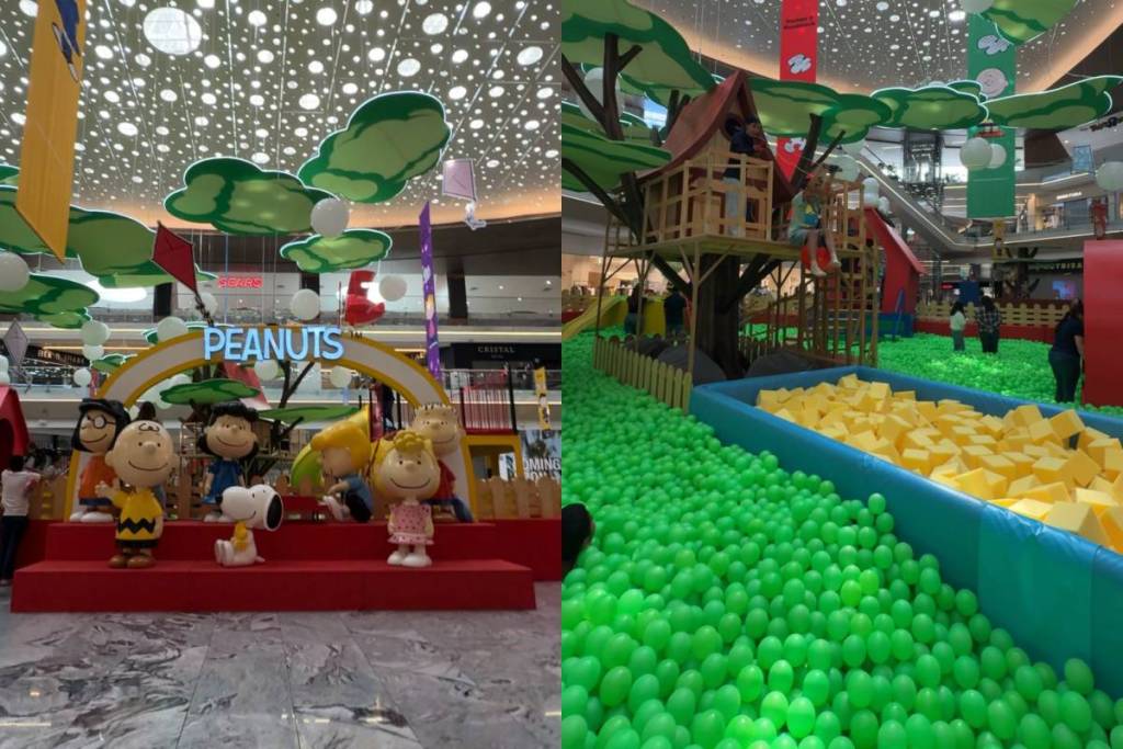Snoopy-themed play park
