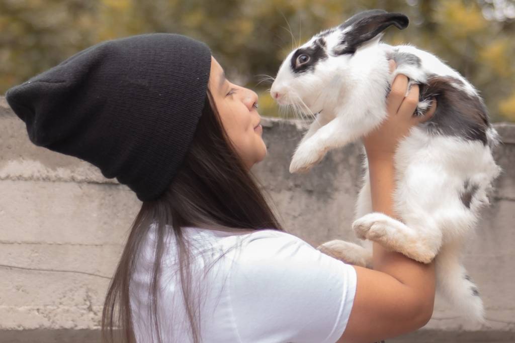CDMX Rabbits and Guinea Pigs Gathering