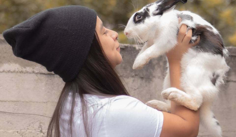 ¡El evento más tierno de la CDMX! Vuelve la Reunión de Conejitos y Cuyitos con nueva sede