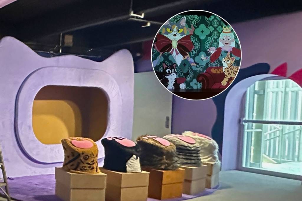 New Cat Museum in Mexico City