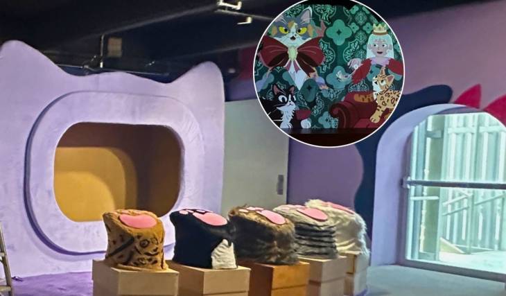 ¡Museo del Gato en CDMX! Fecha de apertura, costos, horarios y más