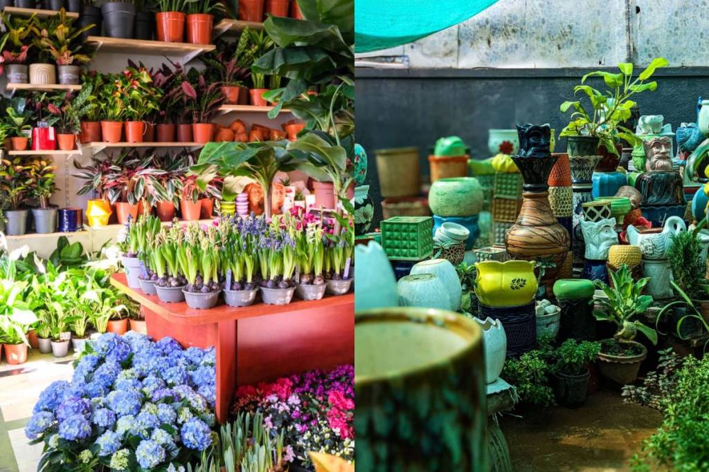 Plant Fest September 2026 Mexico City
